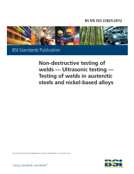 BS EN ISO 22825:2012