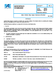 SAE AS 81824E:2024-01-09