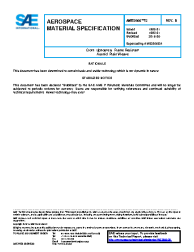 SAE AMS 3856/2B:2016-06-24