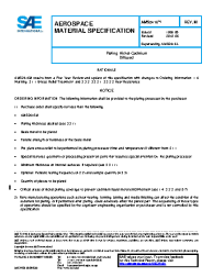 SAE AMS 2416M:2018-06-21