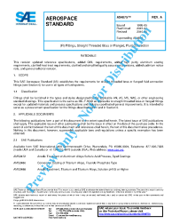SAE AS 4875A:2016-06-06
