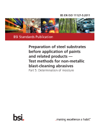 BS EN ISO 11127-5:2011