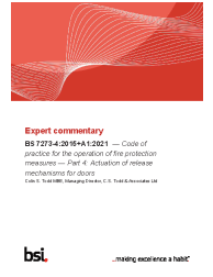 BS 7273-4:2015+A1:2021 ExComm