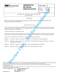 SAE AMS-S-7420B:2007-06-18