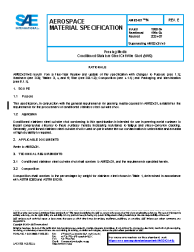 SAE AMS 2431/4E:2024-07-25