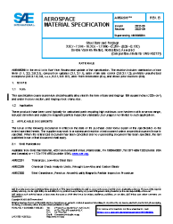SAE AMS 6509B:2022-09-30