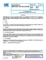 SAE AMS 2431/2G:2022-11-22