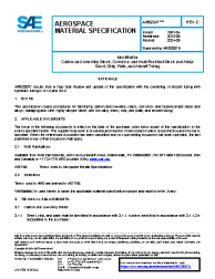SAE AMS 2807C:2024-05-17