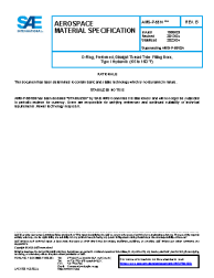 SAE AMS-P-5510B:2023-04-12