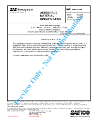 SAE AMS 6478B:2005-09-30