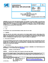 SAE AMS 6528E:2022-10-04
