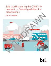 BSI Flex 45005: 2.0 2020 07