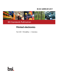 BS IEC 62899-401:2017
