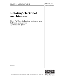 DD IEC/TS 60034-17:2002
