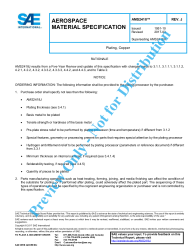 SAE AMS 2418J:2017-03-08