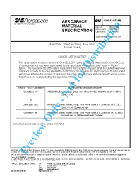 SAE AMS-S-18728B:2006-06-21