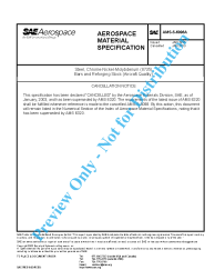 SAE AMS-S-6098A:2003-01-21