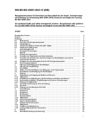 DIN EN ISO 45001:2023-12