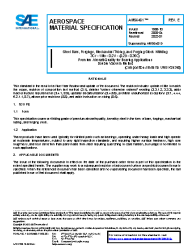 SAE AMS 6481E:2022-01-28