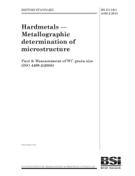 BS EN ISO 4499-2:2010