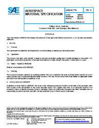 SAE AMS 2451/4E:2022-03-29