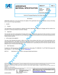SAE AMS 2375E:2017-07-10