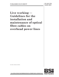 PD IEC/TR 62263:2005