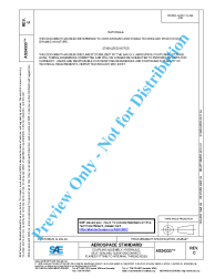 SAE AS 24333C:2017-04-19