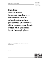 BS EN ISO 11431:2002