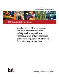 PD CEN ISO/TR 18690:2012