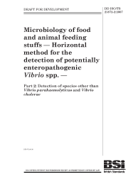 DD ISO/TS 21872-2:2007