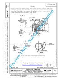 SAE AS 31491A:2016-10-13