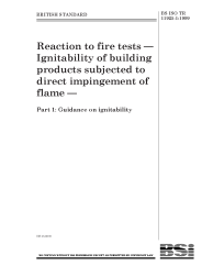 BS ISO TR 11925-1:1999