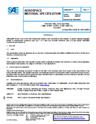 SAE AMS 4025P:2025-07-16