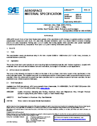 SAE AMS 4407B:2024-03-27