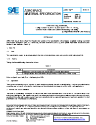 SAE AMS 4172H:2024-09-10