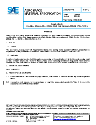 SAE AMS 2431/8C:2019-01-04
