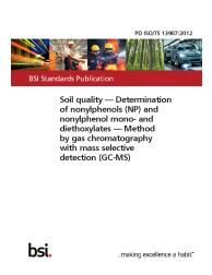 PD ISO/TS 13907:2012
