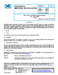 SAE AMS 5353F:2021-06-29