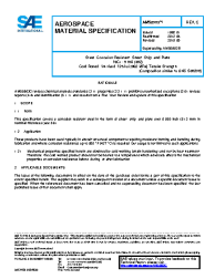 SAE AMS 5903C:2018-08-17