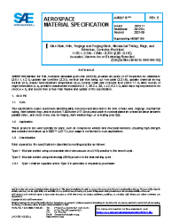 SAE AMS 5719E:2021-05-18