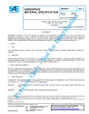 SAE AMS 4899D:2016-06-07