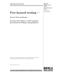 BS EN 60695-2-4/1:1993