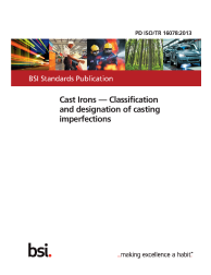 PD ISO/TR 16078:2013