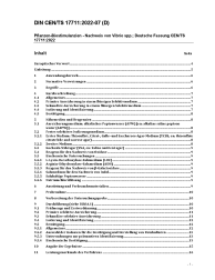 DIN CEN/TS 17711:2022-07