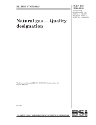 BS EN ISO 13686:2005