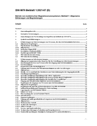 DIN 6876 Beiblatt 1:2021-07