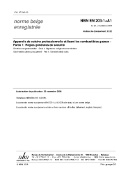 NBN EN 203-1+A1:2008