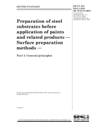 BS EN ISO 8504-1:2001