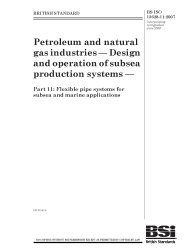 BS ISO 13628-11:2007